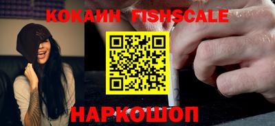 крисы Кулебаки
