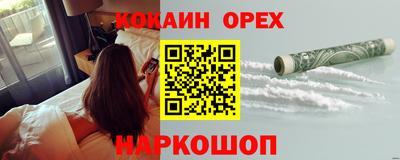 крисы Кулебаки
