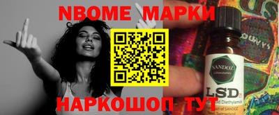 крисы Кулебаки