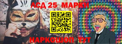 крисы Кулебаки