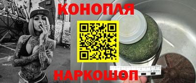 крисы Кулебаки