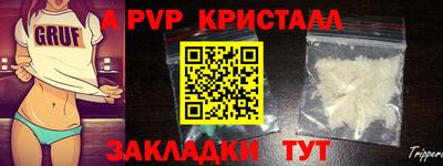 крисы Кулебаки