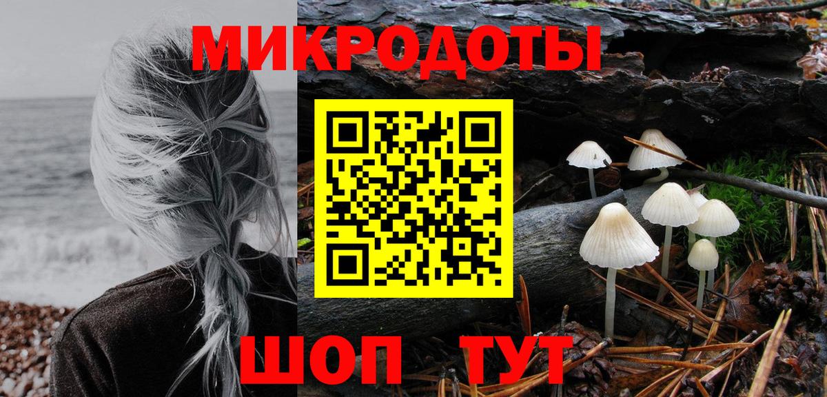 купить закладку  Вход с VPN  Галлюциногенные грибы Magic Shrooms  Ирбит  Псилоцибиновые грибы GOLDEN TEACHER 
